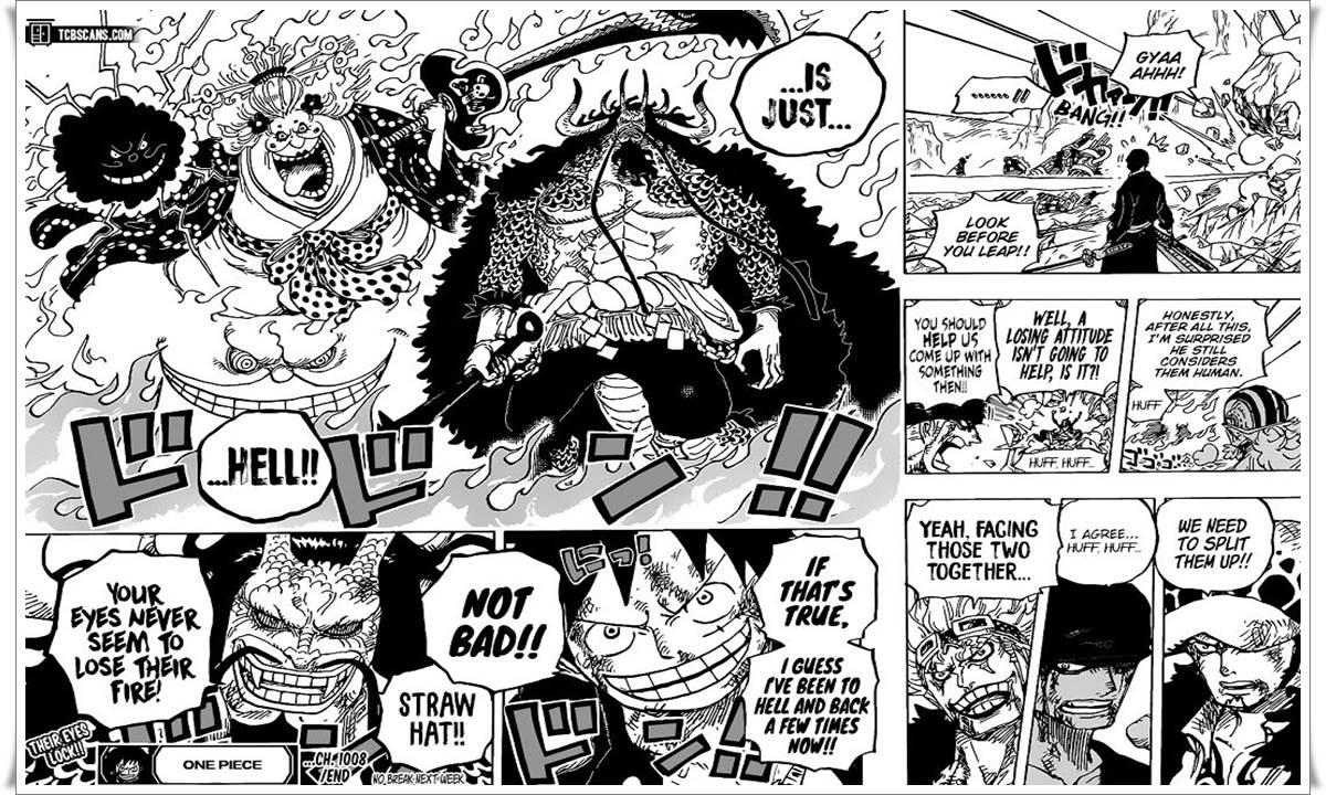 One Piece Chapter 1008 16
