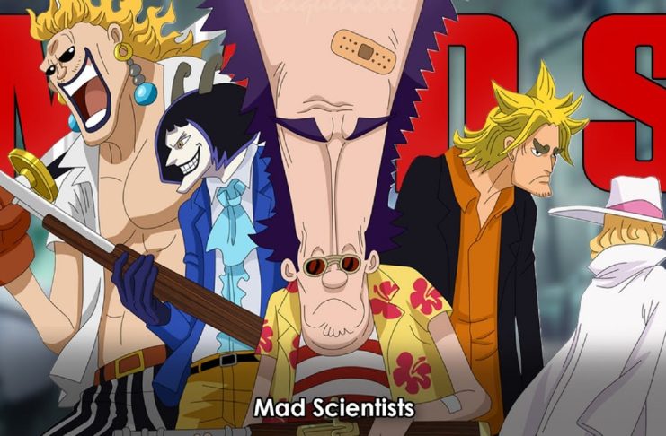 Apa Itu Organisasi Mads Di One Piece