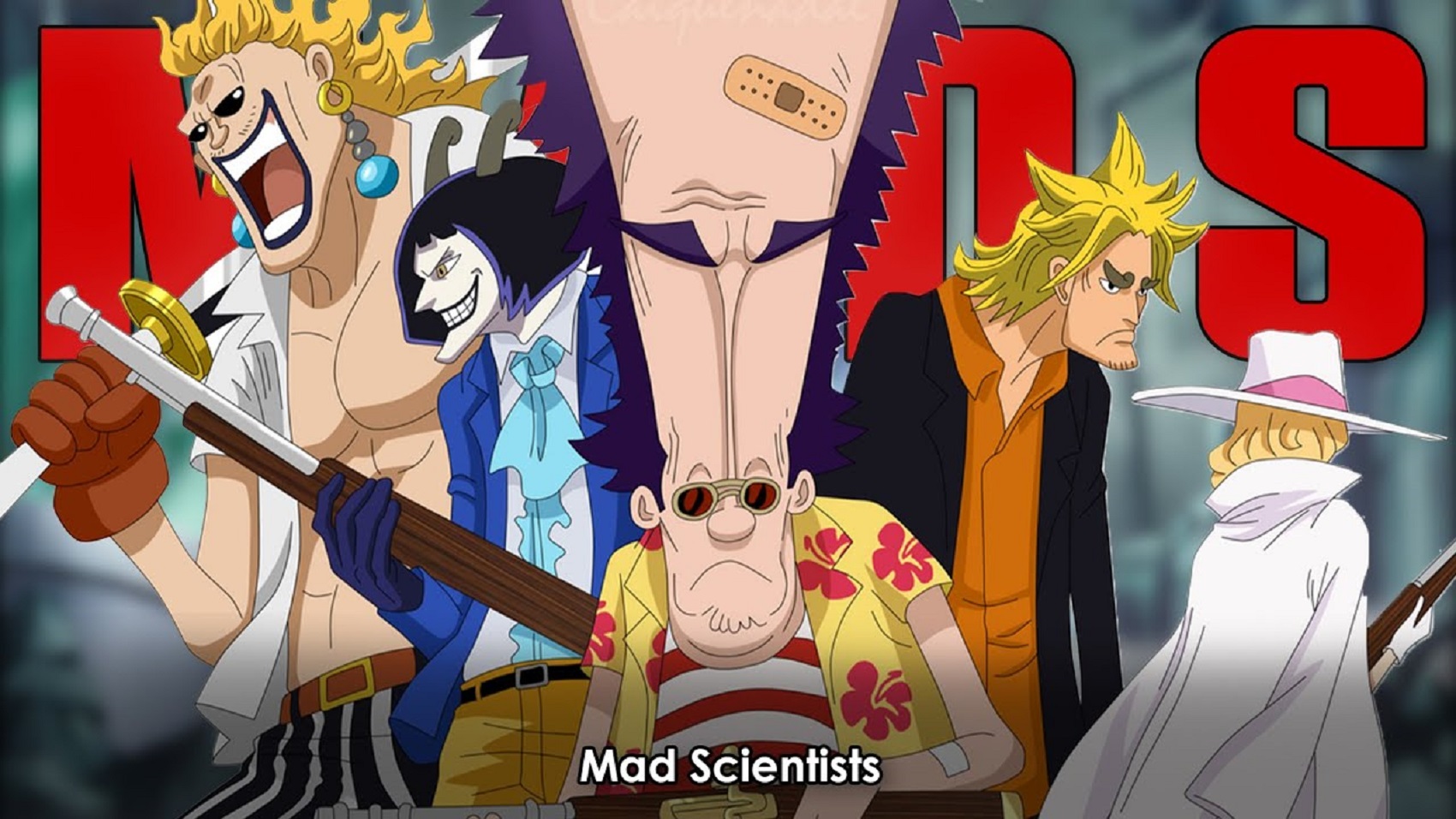 Apa Itu Organisasi Mads Di One Piece