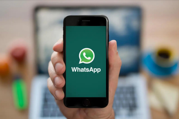 Bot Quran WhatsApp, Cara Mudah Cari Surah dan Ayat