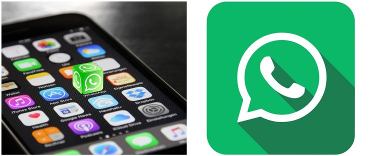 Fitur FMWhatsApp Terbaru