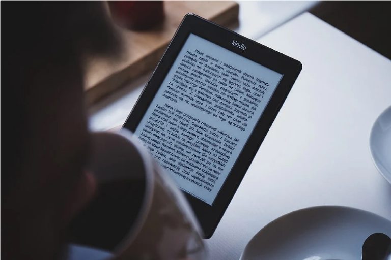 perpustakaan online