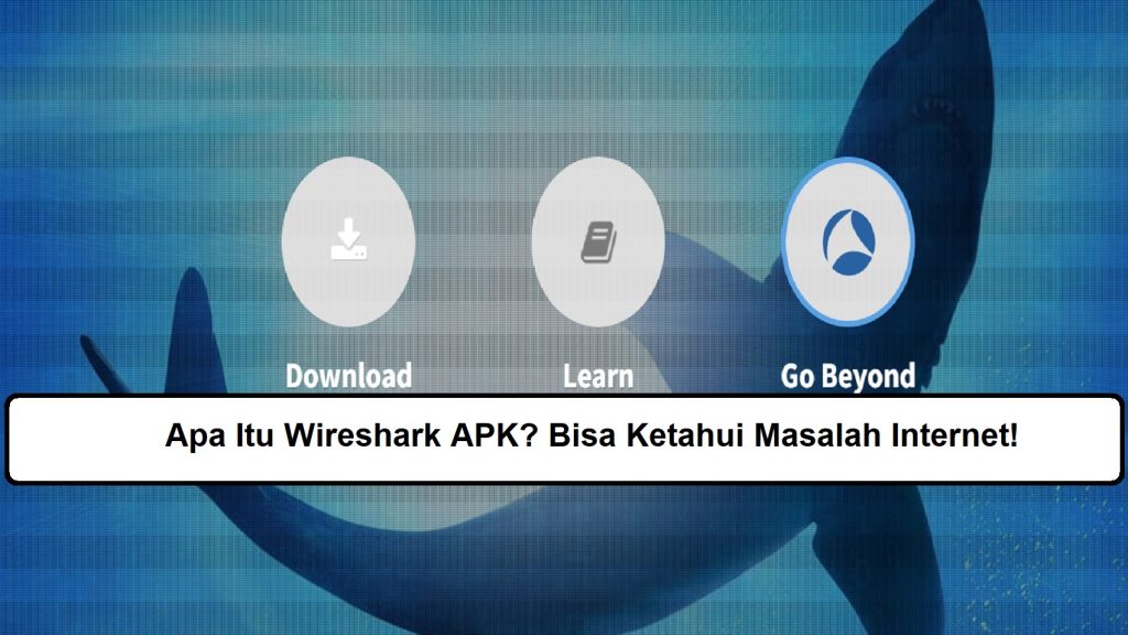 Apa Itu Wireshark APK? Bisa Ketahui Masalah Internet!