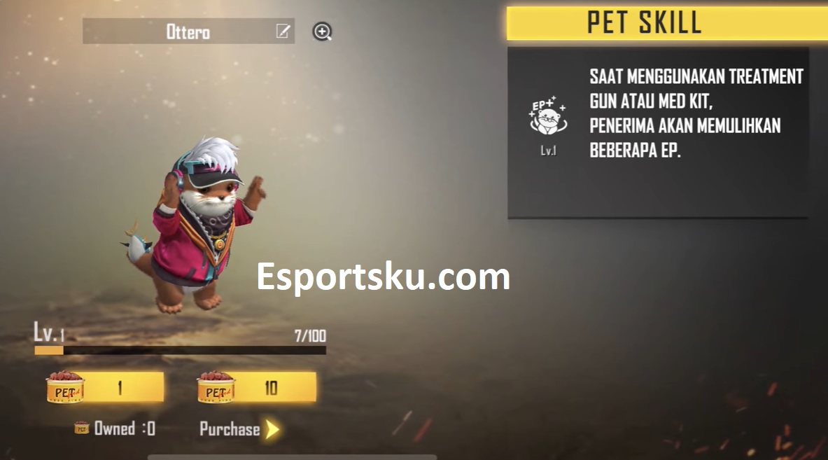 Pet 3