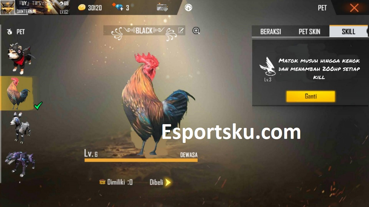 Pet Ayam Terbaru Free Fire Dari Player FF Esportsku